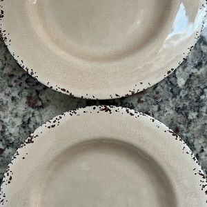 New Ashland Beige Melamine Summer Fiesta Plates (lot of 4)